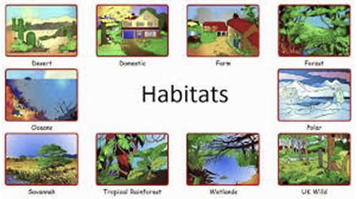 habitat
